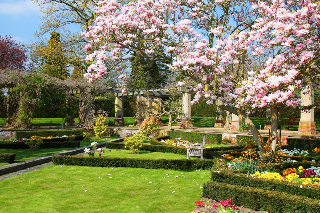 délimiter jardin