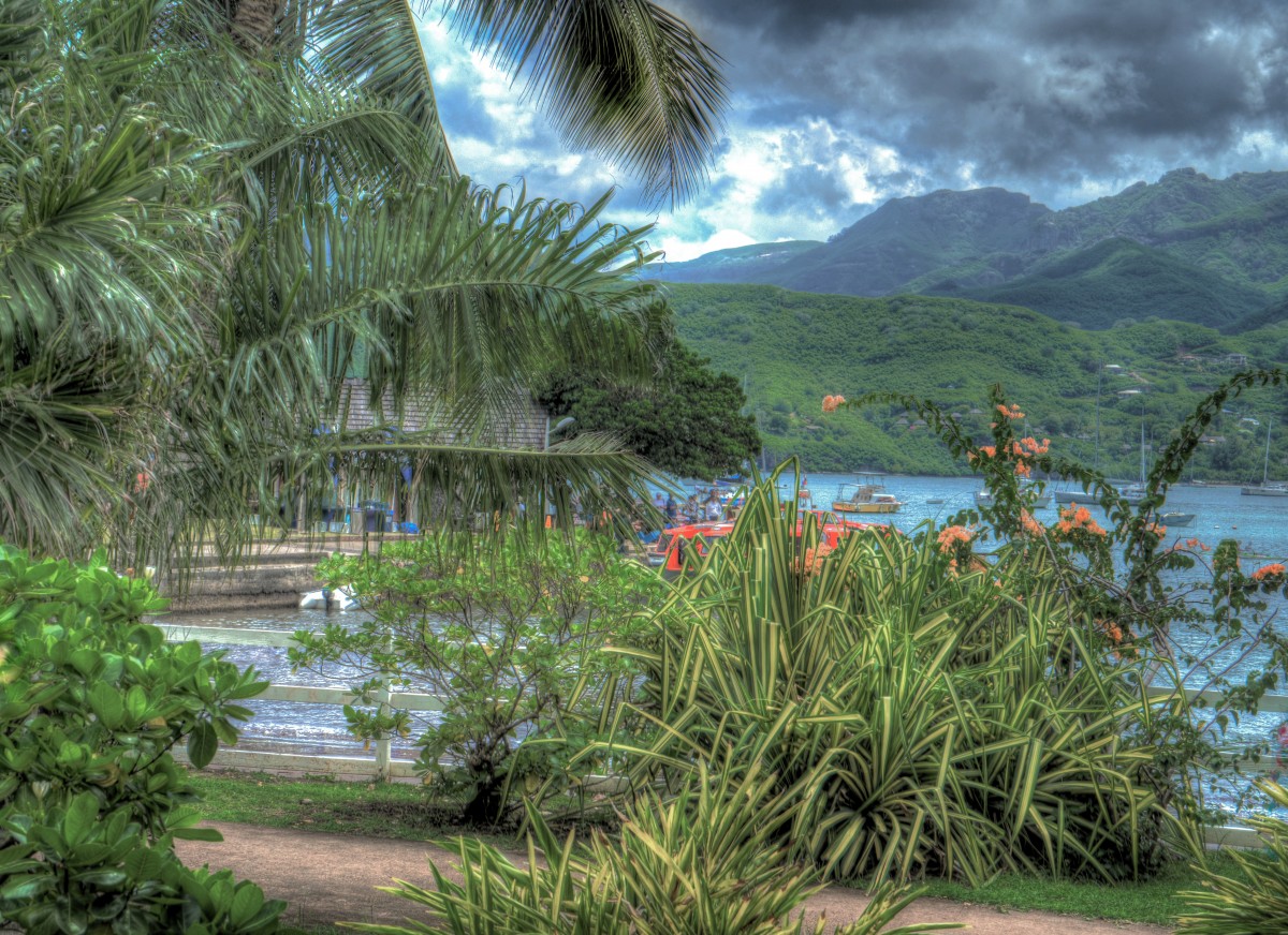 vue panoramique jardin