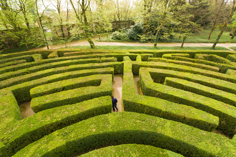 labyrinthe végétal