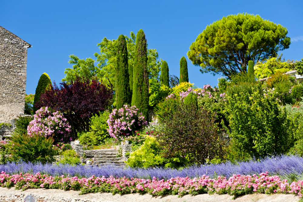 Le jardin en restanques, un paysage provençal